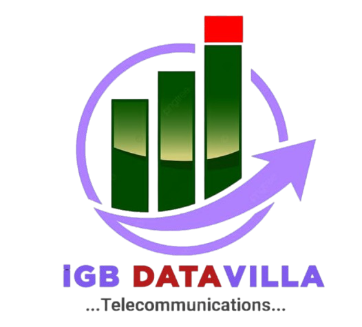 igbDatavillasub.com.ng Logo